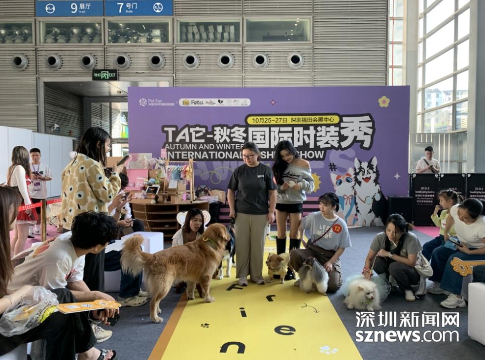 聚焦萌寵新生活，第12屆深圳國際寵物展 生活美容引領新商機